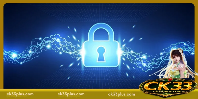 A Brief Overview of CK33 Privacy Policy