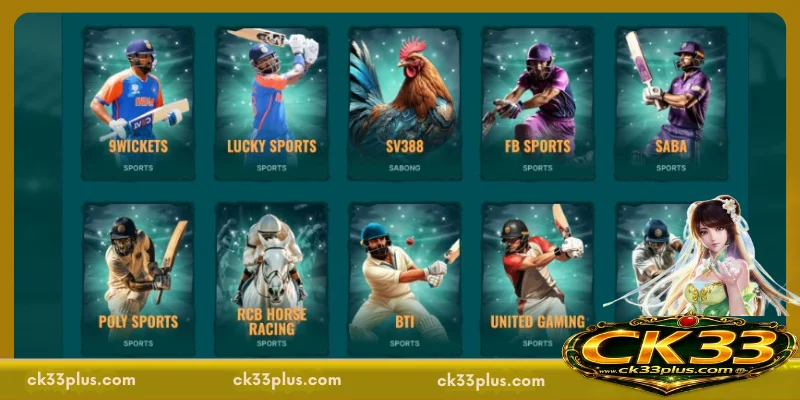 Some CK33 Sports betting lobbies you should choose